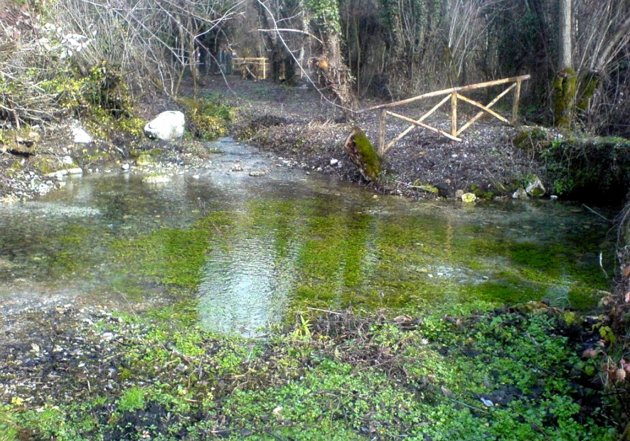 Sorgenti le Rive (o Fontane Fredde). Si noti, alla sommità della parete