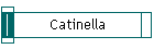 Catinella