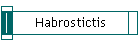 Habrostictis