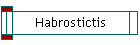 Habrostictis