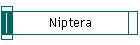 Niptera