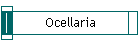 Ocellaria