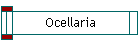 Ocellaria