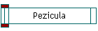 Pezicula