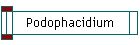 Podophacidium