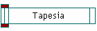 Tapesia