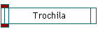 Trochila