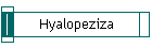 Hyalopeziza