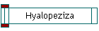 Hyalopeziza