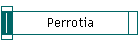 Perrotia