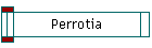 Perrotia