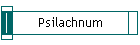 Psilachnum