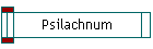 Psilachnum