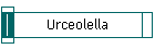 Urceolella