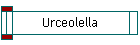 Urceolella