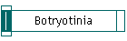 Botryotinia