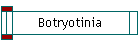 Botryotinia