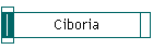 Ciboria