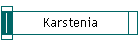 Karstenia