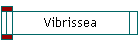 Vibrissea