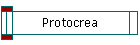 Protocrea