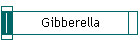 Gibberella