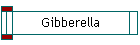 Gibberella