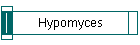 Hypomyces