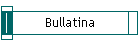 Bullatina