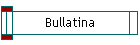 Bullatina