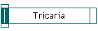 Tricaria