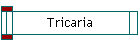 Tricaria