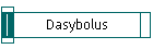 Dasybolus