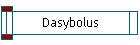 Dasybolus