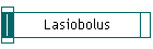 Lasiobolus