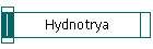 Hydnotrya