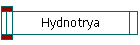 Hydnotrya