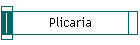 Plicaria