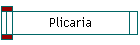 Plicaria