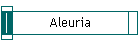 Aleuria