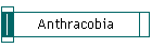 Anthracobia