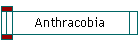 Anthracobia