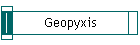 Geopyxis