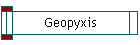 Geopyxis