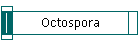 Octospora