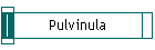 Pulvinula