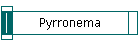 Pyrronema