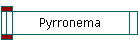 Pyrronema