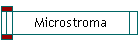 Microstroma