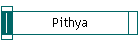 Pithya